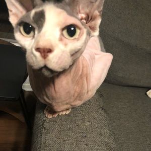 Meet your Posher, Tricia